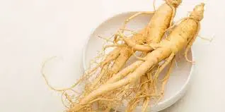 Korean Ginseng.jpeg